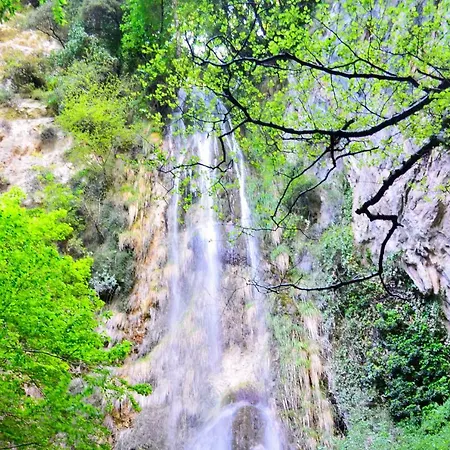 بيت ضيافة Valenti